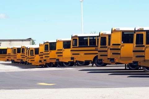 School buses parked.