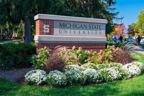 Michigan state university entrance 