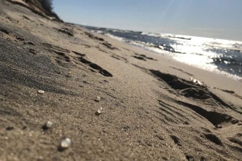 “Nurdles” scattered on the Lake Michigan shoreline 