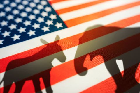American flag with donkey and elephant shadow