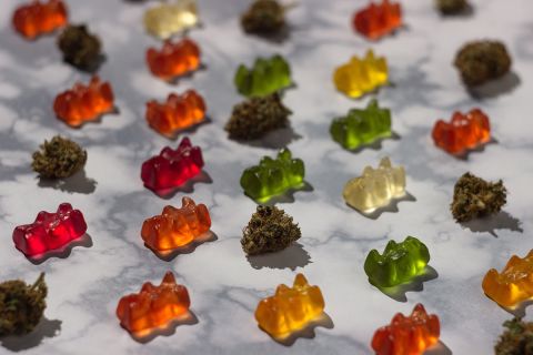 rows of CBD gummy bears candy with some buds of cannabis