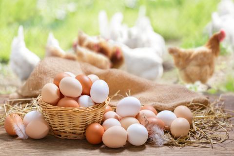 Chicken eggs on a basket with chickens