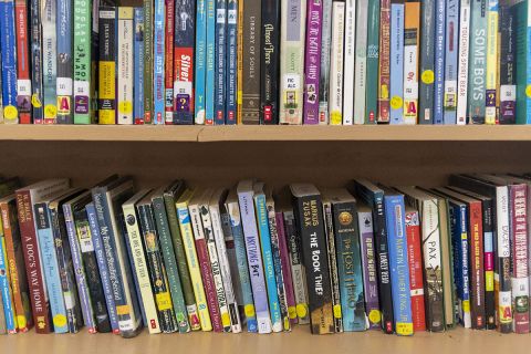 Books on two shelves. 