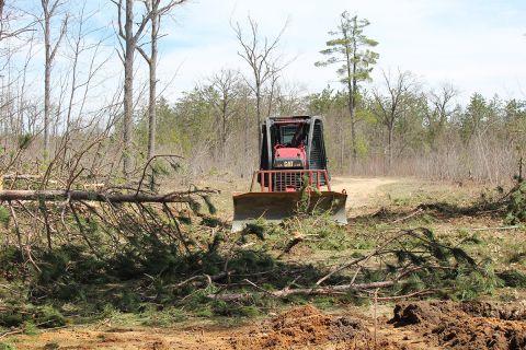Small bulldozer clears branches in Chester Township, Michigan.