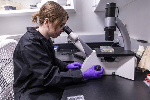 Samantha Musso looks into a microscope in a lab. 