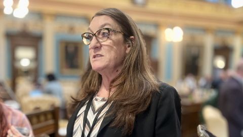 Michigan Sen. Veronica Klinefelt, D-Eastpointe, speaks to reporters.