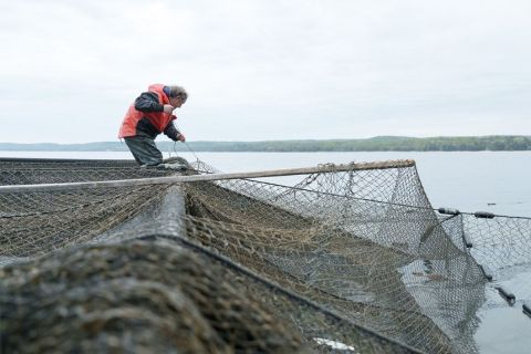 A fisherman stands amid big nets on the deck of a boat on the Great Lakes