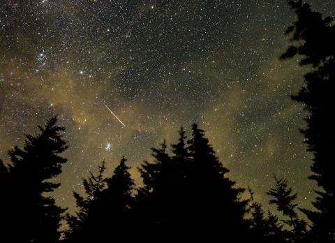 Perseid meteor shower in the sky.