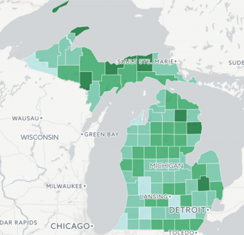 conceal carry map michigan