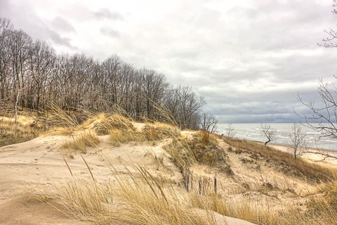 saugatuck dunes