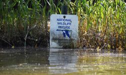 sign at the Shiawassee National Wildlife Refuge 