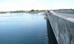 Students from nearby Lake Superior State University fish off the side of the newly built bridge into the Little Rapids.