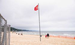 beach hazard flag