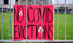 poster stating "no covid evictions" 