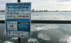 Detroit River 