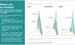 case estimates