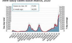 Coronavirus cases as of Jan. 19, 2022