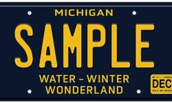 license plate