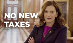 whitmer in an ad