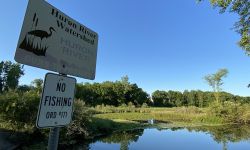 sign by huron river