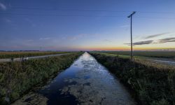 river with algae during sunrise