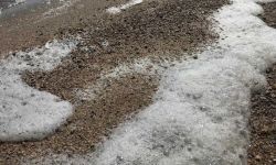 pfas foam