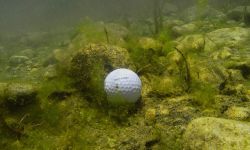 golf ball in the bottom of a river