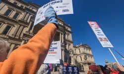 people holding signs