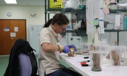 woman in a lab; sitting at a table