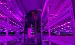 worker in a room with purple LED lights