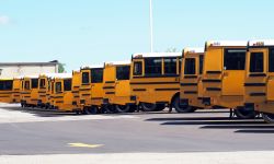 School buses parked.
