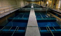 water reservoir