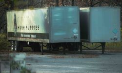 truck for hush puppies shoes