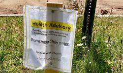 health advisory for beach closure