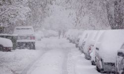 snow covered cars