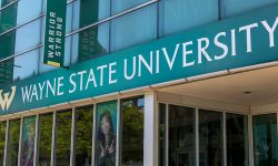 wayne state university 