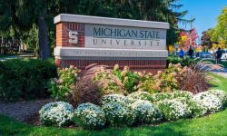 Michigan state university entrance 