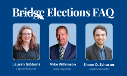 Bridge Election FAQ graphic