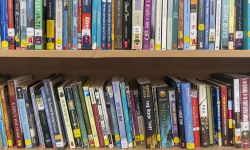 Books on two shelves. 
