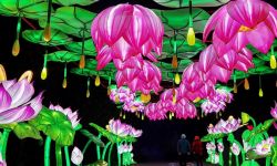 Lantern Festival in Grand Rapids