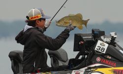 An angler holds up a fish. 