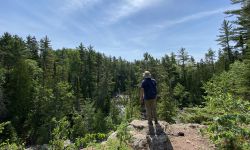 A hiker on a trail. 