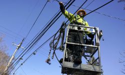 A worker working on a power line. 