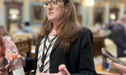 Michigan Sen. Veronica Klinefelt, D-Eastpointe, talks to reporters