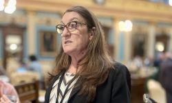 Michigan Sen. Veronica Klinefelt, D-Eastpointe, speaks to reporters.
