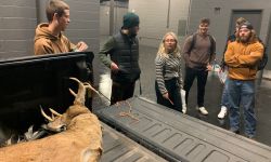 College students stand around the bed of a pickup in which a fake deer carcass rests