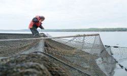 A fisherman stands amid big nets on the deck of a boat on the Great Lakes