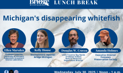 Lunch Break flyer