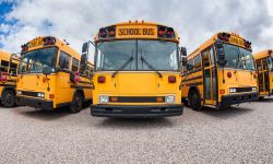 school buses