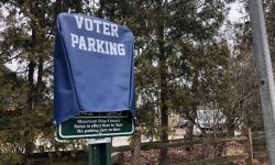 voter parking